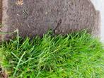 33  verse Graszoden grasmatten gras gazon  grasrollen, grasr, Nieuw, 20 m² of meer, Ophalen, Gras
