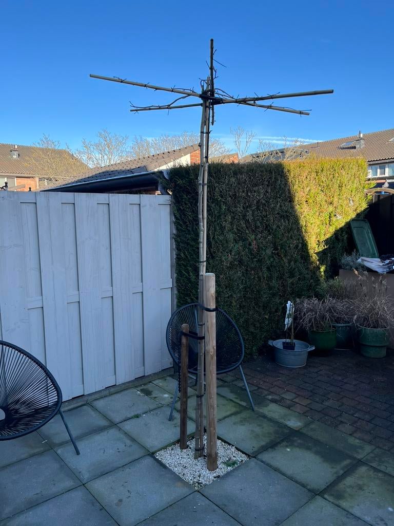 Dakplataan plataan kruisdak 200-220 hoogte, Ophalen, Volle zon, Overige soorten