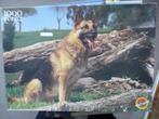 Hond Puzzel 1000 Stukjes, Ophalen, 500 t/m 1500 stukjes, Gebruikt, Legpuzzel