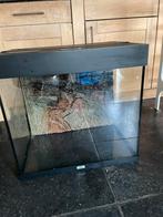 Juwel Lido 120, Ophalen, Gebruikt, Leeg aquarium