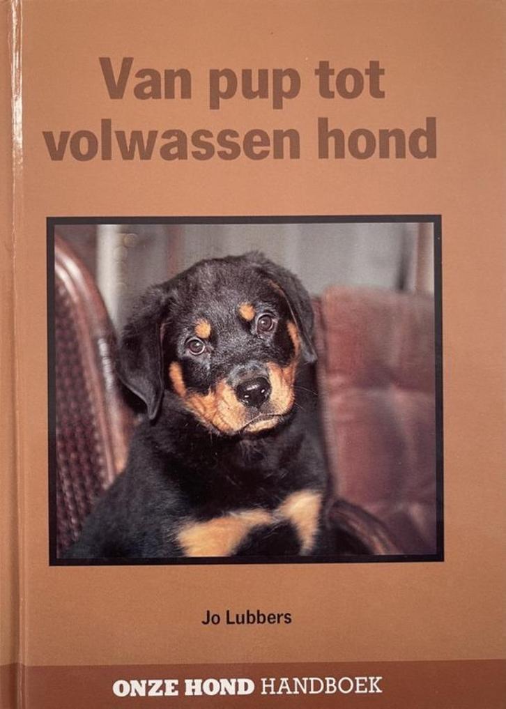 Van pup tot volwassen hond - Jo Lubbers, Boeken, Dieren en Huisdieren, Nieuw, Honden, Ophalen of Verzenden