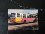 1 foto ZuidOoster bus 8258 10x15 cm, Verzamelen, Spoorwegen en Tramwegen, Ophalen of Verzenden, Zo goed als nieuw, Bus of Metro