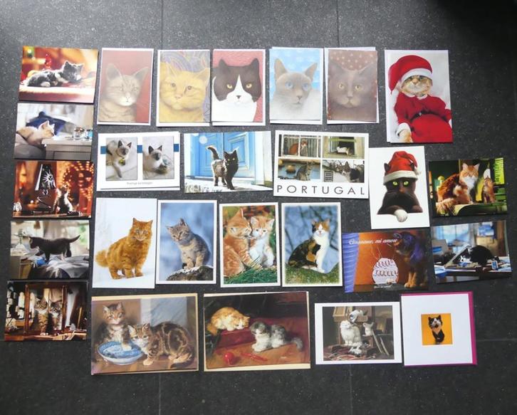 Kattenkaarten verzameling ansichtkaarten kat poes, Verzamelen, Ansichtkaarten | Dieren, Ongelopen, 1980 tot heden, Hond of Kat