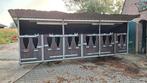 Kalverenstal met 6 eenlingboxen