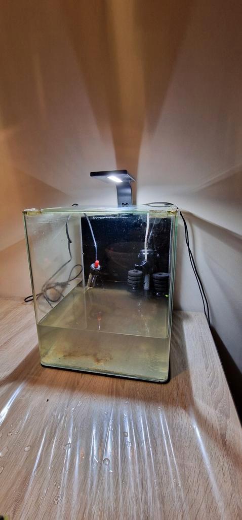 Dennerle nano cube aquarium 30L, Dieren en Toebehoren, Vissen | Aquaria en Toebehoren, Ophalen