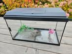 Juwel Aquarium, Ophalen, Gebruikt, Leeg aquarium