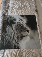 Leeuwen schilderij van glas, Ophalen, 50 tot 75 cm, Zo goed als nieuw, Schilderij