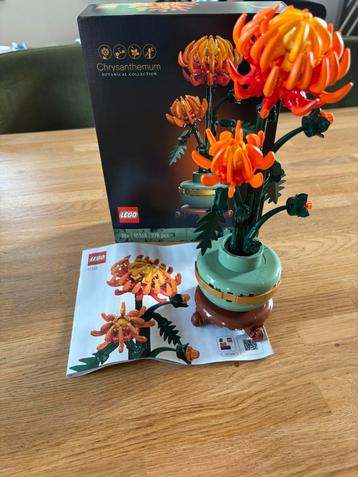 Lego Botanics 10368 Chrysanthemum beschikbaar voor biedingen