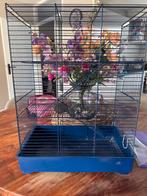 Knaagdier / hamster kooi, Kooi, Minder dan 75 cm, Hamster, Ophalen