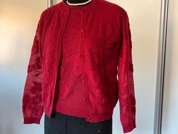 MaxMara Twin Set beschikbaar voor biedingen