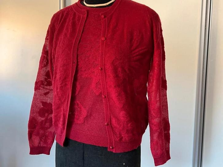 MaxMara Twin Set, Kleding | Dames, Truien en Vesten, Zo goed als nieuw, Maat 38/40 (M), Rood, Ophalen of Verzenden