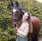 Paardenstalling/ weidegang Brandwijk, Dieren en Toebehoren, Stalling en Weidegang, Stalling