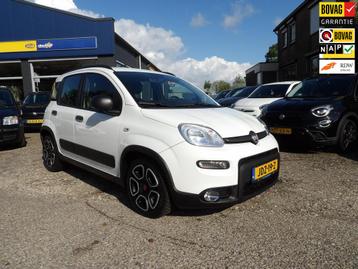 Fiat PANDA 1.0 Hybrid City Life / Rijklaarprijs / Apple Carp beschikbaar voor biedingen