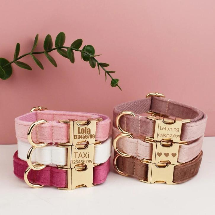 Hond Gepersonaliseerde Hondenhalsband en Riem Set | Op Maat, Dieren en Toebehoren, Honden-accessoires, Nieuw, Verzenden