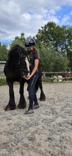Hele lieve 7 jarige tinker merrie, Dieren en Toebehoren, Merrie, B, C pony (1.27m tot 1.37m), 7 tot 10 jaar