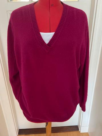 PAUW Cashmere Trui - Heerlijk Warm! Mt 44/46 beschikbaar voor biedingen