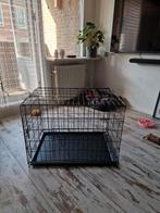 Honden bench., Ophalen, Zo goed als nieuw, Minder dan 75 cm, Minder dan 65 cm