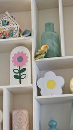 Agarponis gratis ophalen, Geslacht onbekend, Tropenvogel, Tam