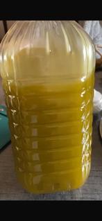 100% Marokkaanse olijfolie, Tuin en Terras, Ophalen of Verzenden, Minder dan 100 cm, Overige soorten, Lente