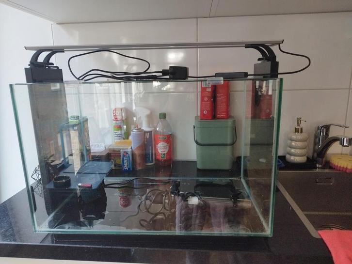 Superfish home 65, Dieren en Toebehoren, Vissen | Aquaria en Toebehoren, Gebruikt, Leeg aquarium, Ophalen