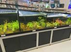 Planten aquarium, Dieren en Toebehoren, Vissen | Aquaria en Toebehoren, Ophalen, Gebruikt, Leeg aquarium