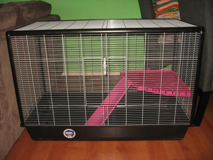 Zeno 3 rattenkooi, Dieren en Toebehoren, Knaagdieren en Konijnen | Hokken en Kooien, Gebruikt, Kooi, 60 tot 90 cm, 75 tot 110 cm