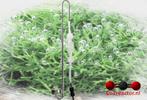 Dupla Scapings CO2 Diffusor Set, Dohse Aquaristik GmbH & Co. KG, Otto-Hahn-Str. 9 53501 Grafschaft - Gelsdorf, Nieuw, Info@dohse-aquaristik.de