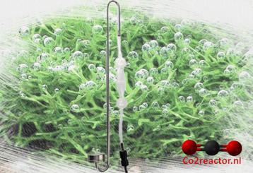 Dupla Scapings CO2 Diffusor Set beschikbaar voor biedingen