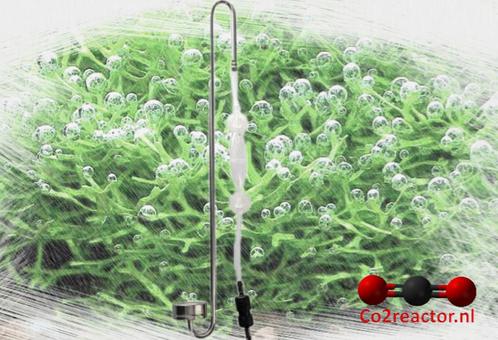 Dupla Scapings CO2 Diffusor Set, Dieren en Toebehoren, Vissen | Aquaria en Toebehoren, Nieuw, Filter of Co2, Ophalen of Verzenden