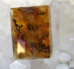 Dendrietenkwarts - geslepen, Ophalen of Verzenden, Nieuw