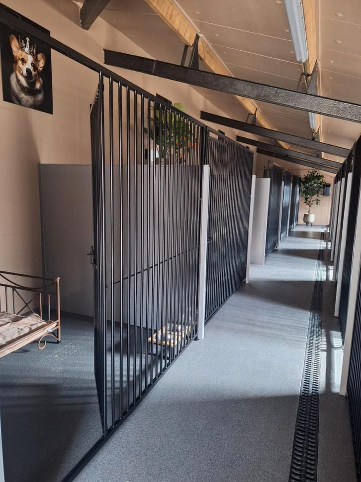 Nieuw Hondenpension beschikbaar!, Diensten en Vakmensen, Dieren | Honden | Verzorging, Oppas en Les, Pension of Dagopvang