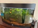 Juwel  Vision 180, incl Helialux Led, Ophalen, Gebruikt, Leeg aquarium