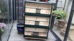 Te koop vogel kooi  3delig met mestlades h120. Br80  d40, Dieren en Toebehoren, Ophalen of Verzenden, Zo goed als nieuw, Hout