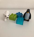 Duplo pinguïn en ijsbeer, Duplo, Ophalen of Verzenden, Zo goed als nieuw