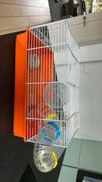 Ferplast Hamsterhok klein, Gebruikt, Minder dan 75 cm, Hok, Hamster