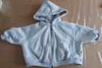 Mooi grijs vest met capuchion merk Zara, Kinderen en Baby's, Babykleding | Maat 80, Ophalen of Verzenden, Zo goed als nieuw, Zara