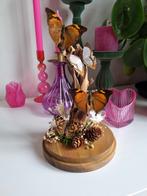 4 opgezette vlinders in glazen stolp decoratie taxidermy, Huis en Inrichting, Nieuw, Ophalen of Verzenden