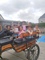 Kinderfeestje  met ponyrijden, Diensten en Vakmensen, Kinderfeestjes en Entertainers