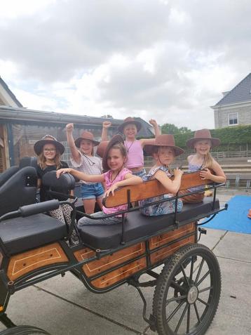 Kinderfeestje  met ponyrijden beschikbaar voor biedingen