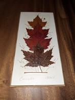 Gesigneerd. Maple Leaf Canada. Henni original., Ophalen of Verzenden