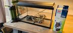 Juwel Primo 60 met Eheim buitenfilter, Ophalen of Verzenden, Gebruikt, Leeg aquarium