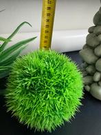 Extra grasbol van het merk biOrb, z.g.a.n. doorsnede 10 cm, Ophalen of Verzenden, Nieuw, Sierelement