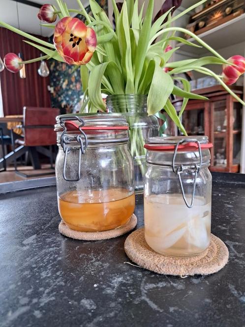 Kombucha Scoby (zwam) + starter van zwarte en groene thee, Diversen, Levensmiddelen, Ophalen of Verzenden