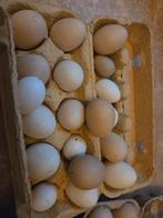 Lege kleine eieren, Ophalen, Materiaal