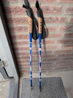 Wandelstokken, Ophalen of Verzenden, Zo goed als nieuw, Wandelstok