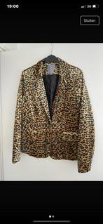 Geisha blazer, Kleding | Dames, Maat 38/40 (M), Overige kleuren, Geisha, Nieuw