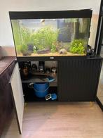 Aquarium Volga 125 Liter compleet (half jaar oud!), Ophalen, Zo goed als nieuw, Gevuld zoetwateraquarium