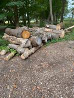 Haardhout brandhout om zelf te kloven, Tuin en Terras, Haardhout, 6 m³ of meer, Ophalen, Overige houtsoorten, Stammen