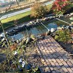 Gratis  zwerfkeien  eventueel met polyester vijver ca 4meter, Eén persoon, Kortingskaart