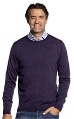 Joe Merino - trui - L - kleur 'purple lord' - goede staat, Maat 52/54 (L), Joe Merino, Paars, Ophalen of Verzenden